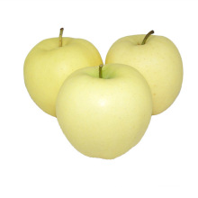 China golden delicious apple supplier